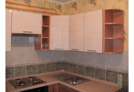 80, ул. Борщаговская, 210